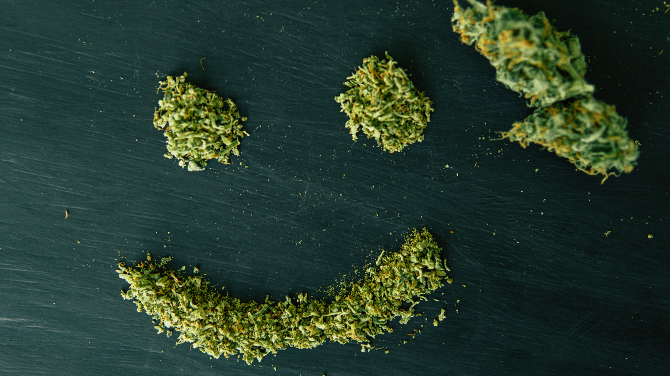 Email Marketing Agency Untitled-design-37 Mastering Cannabis Dispensary Newsletters: A Step-by-Step Guide to Winning Content  