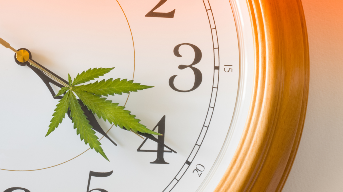Email Marketing Agency Blog-Images-for-Website-6 Optimal Email Times for CBD Consumers' Engagement  